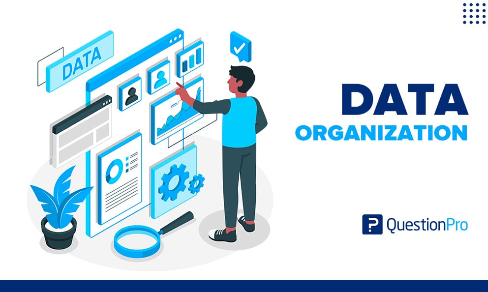 SA2 : ORGANISATION DES DONNÉES